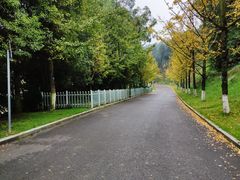 -铁山坪森林公园