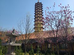 -正觉寺