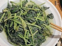 -鸽子窝(青塔店)