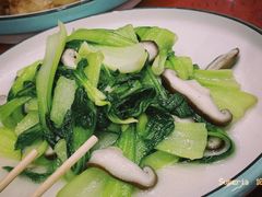 -东北酱大骨