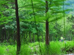-南京市无想山景区