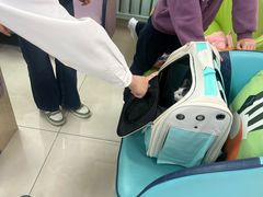 -北京观赏动物医院·24小时大型综合·猫专科·异宠专科