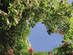 -廊坊文化艺术中心