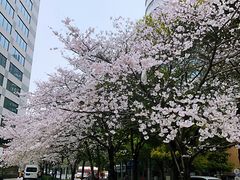 -玛格萝妮比萨屋(四平店)
