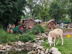 -HERRE·FARM 赫尔露营农场·团建聚会包场