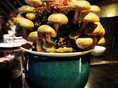 活体菌菇-捞王锅物料理(凯旋路店)