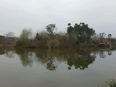 -白鹭湾湿地公园