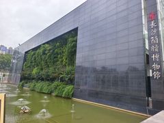 -长沙简牍博物馆