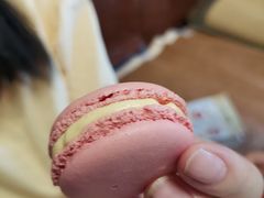 -卷心卷意·轻甜蛋糕(新光天地店)