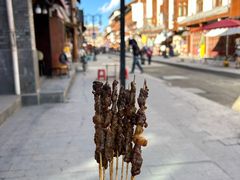 -松州古城
