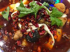 -晓彭肥肠鸡·泡椒鸡火锅(水木天地店)