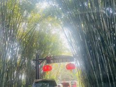 -海南热带野生动植物园