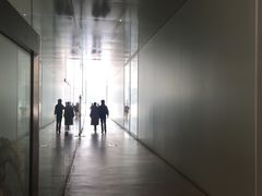 -金泽21世纪美术馆