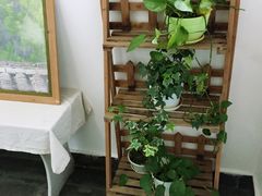 -武夷山旧街壹号溪岸旅馆(三姑度假区店)