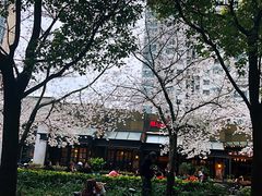 -玛格萝妮比萨屋(四平店)