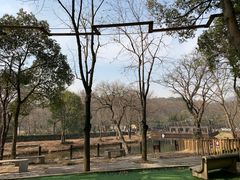 -WeLope紫金山探险公园