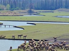 -溱湖国家湿地公园