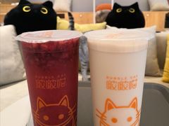 -啵啵喵·猫咖(攀华国际店)