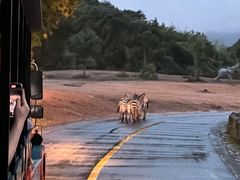 -杭州野生动物世界