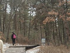 -帽儿山国家森林公园