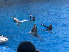 -北戴河圣蓝海洋公园