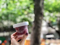 -Dip in Gelato(富民路店)