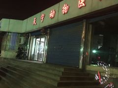 -瑞派天宁宠物医院·猫科·异宠中心