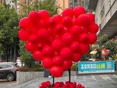 -北边的花店(泛悦城市广场店)