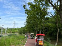 -桤木河湿地公园