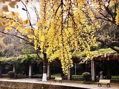 -四川大学(华西校区)