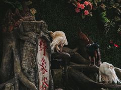 -野象谷景区