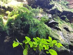 -马岭河峡谷风景区