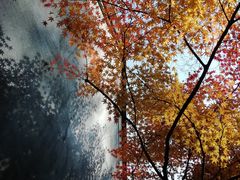 -穹窿山景区