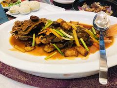 -欢乐海岸美食联盟