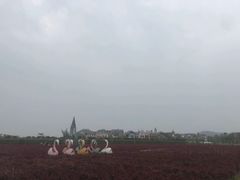 -美的鹭湖森林度假区