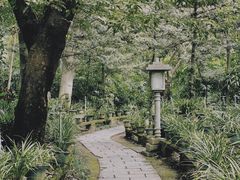 -广州兰圃