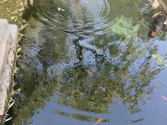 -趵突泉景区
