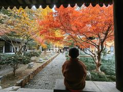 -常熟方塔园