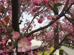 -荆川公园