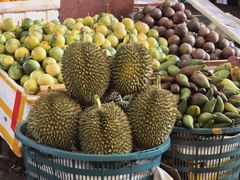 -新鸿港水果市场(三亚新鸿港国际商品交易中心店)