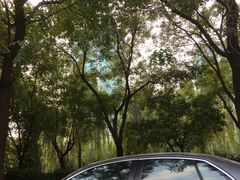 -应急管理部应急总医院(主院区)