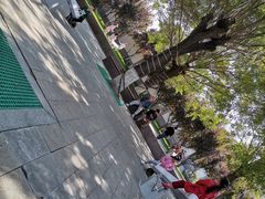 -河北省园博园