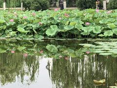 -南翠屏公园
