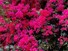 -厦门国家会计学院