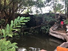 -绿光森林餐厅