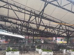 -移动谜城·大笨象密室逃脱(五棵松店)