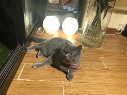 -EasyLady美甲沙龙