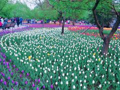 -长春公园(普阳街道)