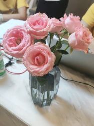 点击看大图 -FineYoga梵音瑜伽·普拉提