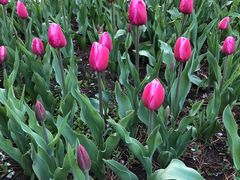 -长春公园(普阳街道)